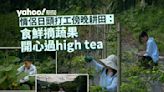 香港農青｜25歲情侶務農 日頭打工傍晚耕田 「食鮮摘蔬果開心過 high tea」