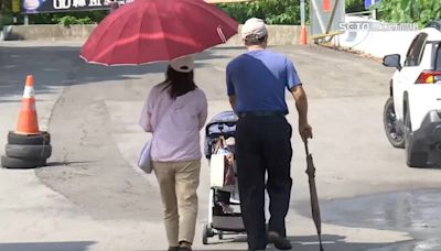 獨家／車埕步道爆猴群出沒 ！攻擊遊客還搶食物 工作人員：至少30隻