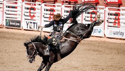 The cowboys in the chutes and a new golden age for Alberta saddle bronc