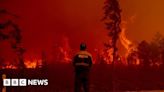 Arctic wildfires ravage region, EU climate service says