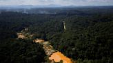 Brasília Hoje: Lira cria comissão sobre yanomamis com deputados bolsonaristas e pró-garimpo