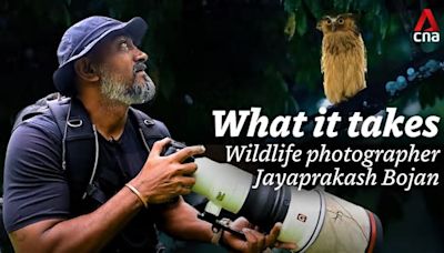 What It Takes: Top wildlife photographer Jayaprakash Bojan | Video