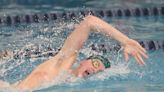 Firestone, Hudson swimmers continue friendly rivalry in Division I postseason