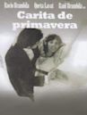 Carita de primavera