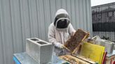 Meet the beekeeper protecting pollinators in Far Rockaway, Queens - KVIA