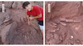 男童阿公家院挖呀挖「發現大寶藏」 證實為恐龍化石身長至少12公尺