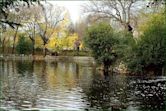 El Capricho Park