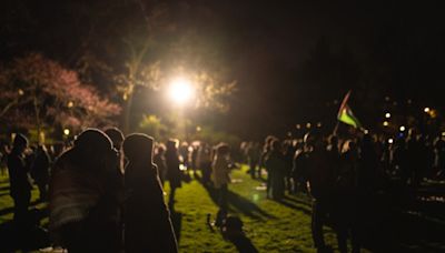 Northwestern, University of Chicago students continue encampment for Palestine, join protestors nationwide