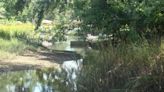 New Hanover County applies for grant to support Pages Creek Restoration Plan | Fox Wilmington WSFX-TV