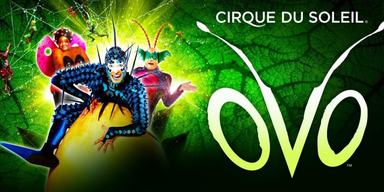 Cirque du Soleil's OVO is Coming to DCU Center in January 2025