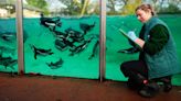 In Pictures: Zookeepers carry out annual count of all creatures great and small