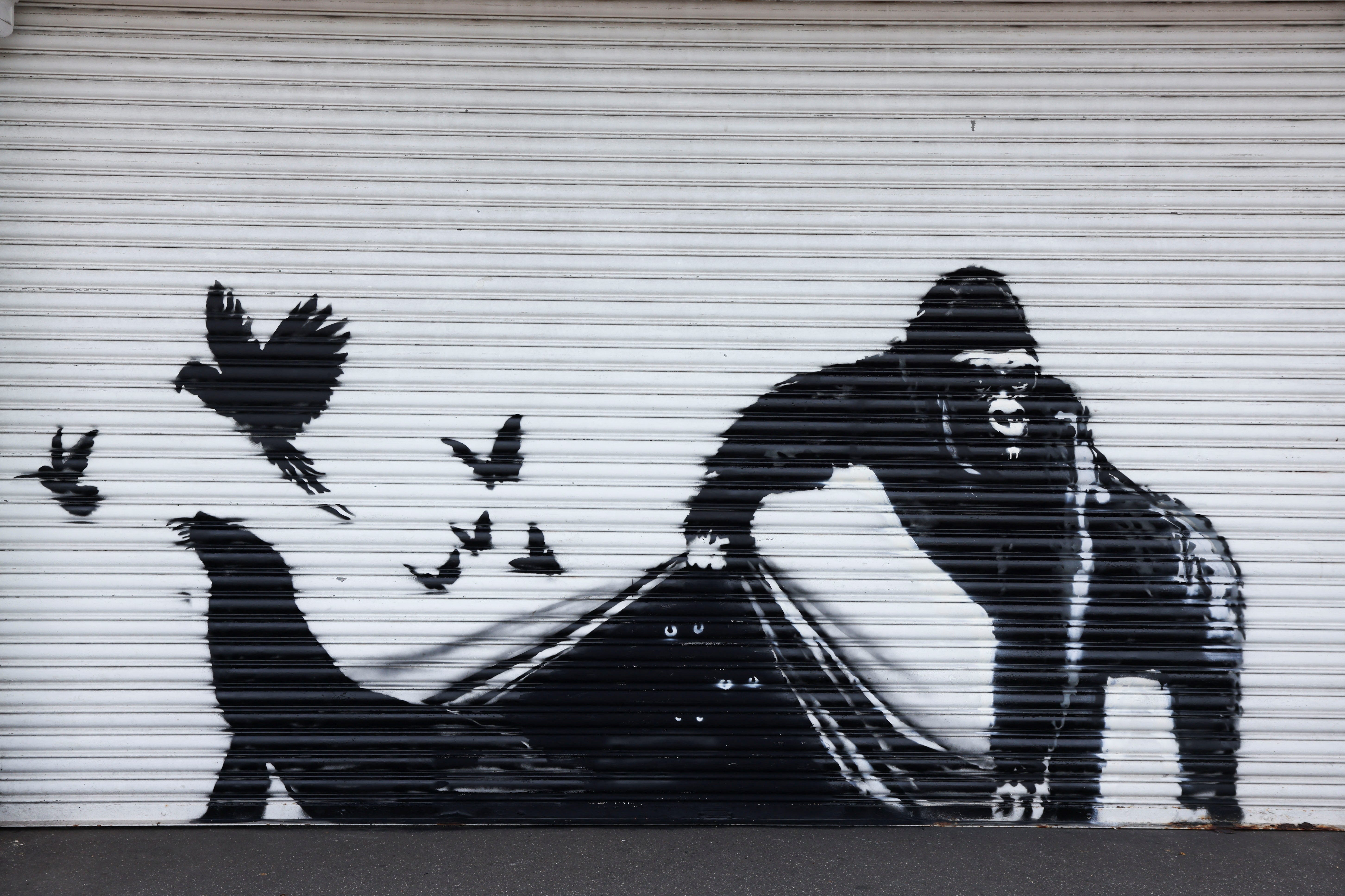 'Absolutely brilliant': Banksy paints piece on London Zoo's shutters; see photos