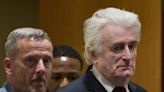 Family of ex-Bosnian Serb leader sues US to escape sanctions list