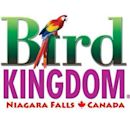 Bird Kingdom