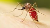 Mosquito-fighting drone takes flight in South Florida, a ‘huge difference’ to keep insects at bay