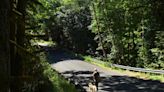 This Thurston County road will be closed for over a year to remove a fish passage barrier