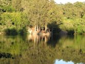 Lake Anza