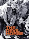 The Devil Horse (1932 serial)