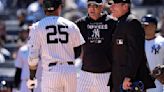 Umpire Retires Baseball