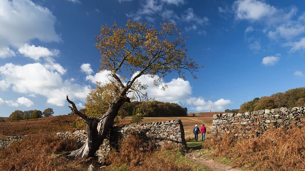 Bradgate Park: National nature reserve status protects ancient rocks