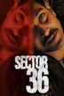 Sector 36