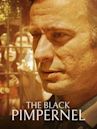 The Black Pimpernel