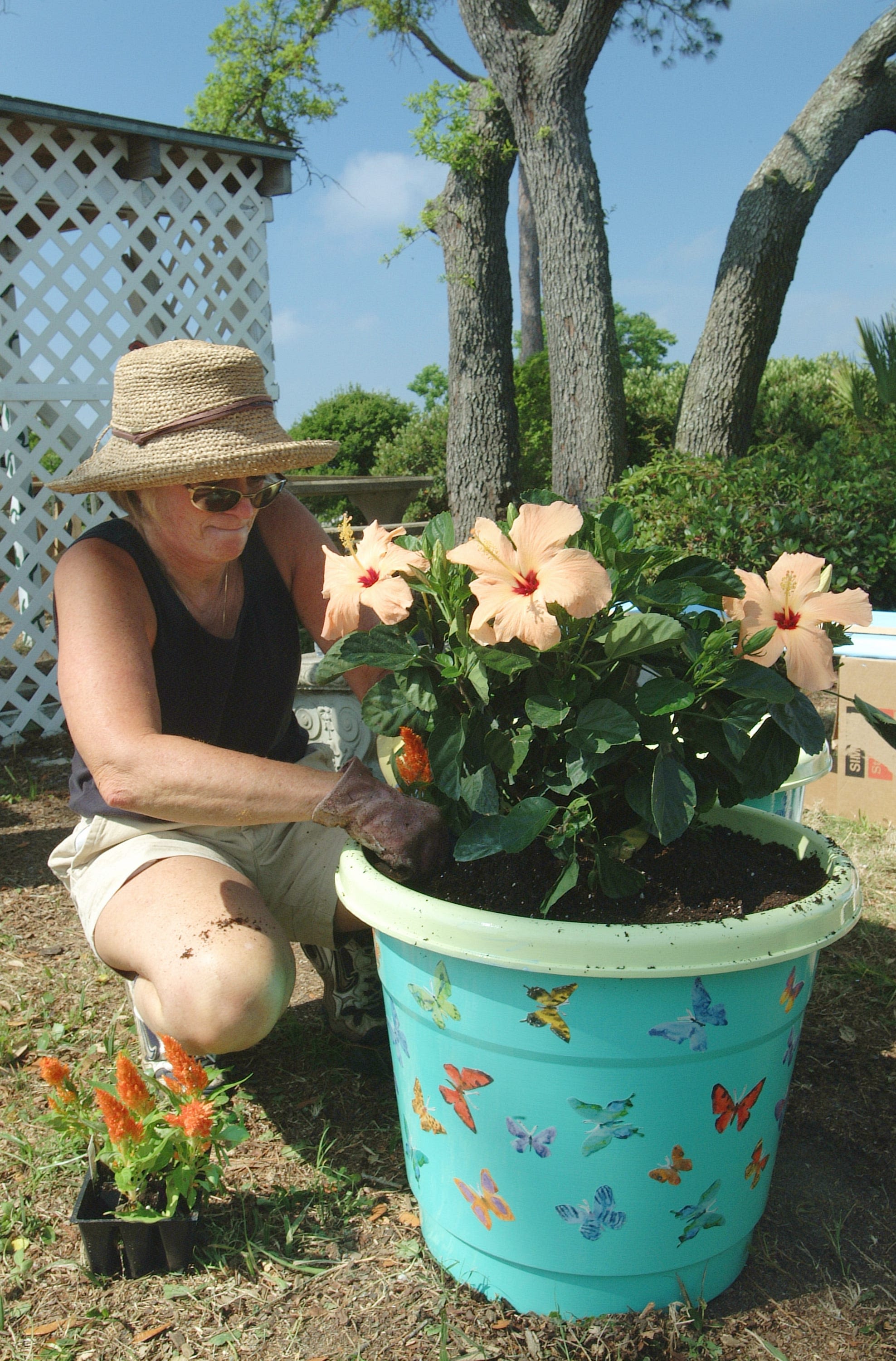 Gardening tips: Protect yourself from Florida heat, sunshine when working in the yard