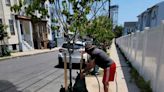 From saplings, to shade structures, to white paint: How communities along the Mystic River try to beat the heat - The Boston Globe