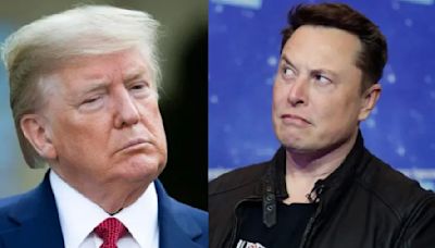 Donald Trump le ofreció a Elon Musk ser el Sturzenegger de EEUU