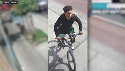 Person of interest taken into custody in Queens park sex assault, police say