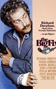 The Big Fix (1978 film)