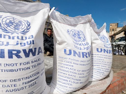 Netherlands will consider resuming support to Palestinian UNRWA agency