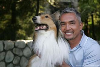 Cesar Millan