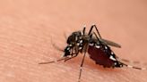 DOH reports another travel-related case of dengue on Oahu