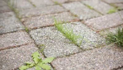 Remove patio weeds within 24 hours ‘permanently’ with 1 kitchen item - not vinegar or salt