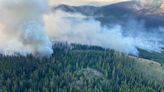 Incendios y calentamiento cambian rápidamente ecosistemas en Canadá - Cambio de Michoacán