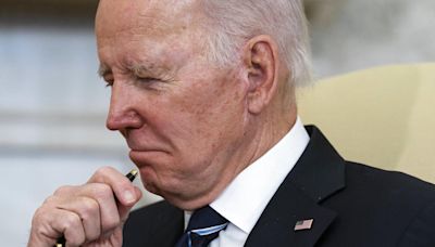 Megadonante del presidente Joe Biden le reprocha su amenaza de dejar de apoyar a Israel - La Opinión