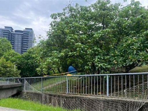 台中文心公園驚傳命案！29歲男樹叢內死亡 警封鎖現場調查