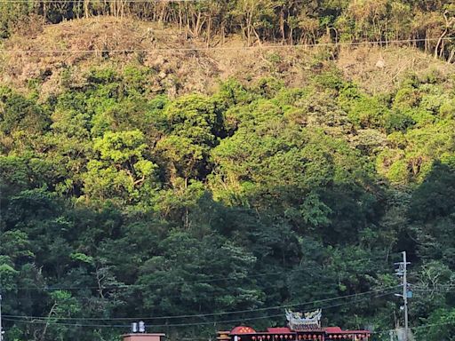 雙溪停電砍光猴硐山林 台電稱「颱風應變」遭質疑