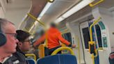 Men to be banned from public transport after brawl on Adelaide train