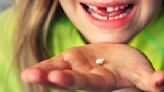 How much does the Tooth Fairy give? See the average payout
