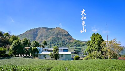 嘉義阿里山步道 太和象山、茶園梯田風光、高山環繞