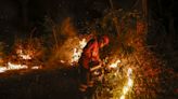 Los incendios en el Pantanal de Brasil baten un récord histórico para un mes de junio