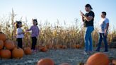 These Topeka-area farms have pumpkin patches, corn mazes, petting zoos, zip lines and more