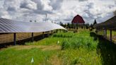 Solar sizzle or environmental fizzle? The Muddy Creek agrivoltaic conundrum