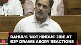 Rahul Gandhi's maiden speech in LS: 'He can’t insult Hindus...' says Priyanka; here is how politicians reacted