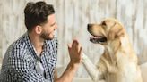 Un estudio reveló por qué las personas le hablan de la misma manera a los perros y a los bebés