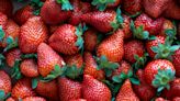 Strawberries still have the most pesticides of any American produce, a report says. Here are the 12 fruits and vegetables on the 2024 'Dirty Dozen' list.