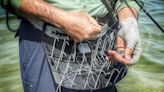 The #1 Best Fly Fishing Stripping Basket I Have Fished in Thirty Years