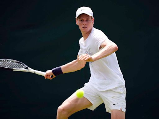 Wimbledon 2024: Jannik Sinner, Carlos Alcaraz and Novak Djokovic are among the men to watch